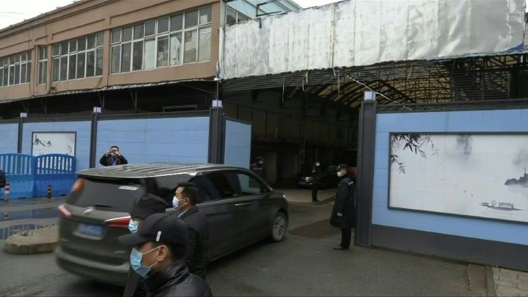 世界卫生组织牵头的调查新型冠状病毒起源的专家小组31日走访了位于武汉的白沙洲市场和华南海鲜市场