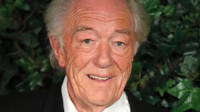 曾在《哈利·波特》电影中扮演霍格沃兹魔法学院校长邓布利多的演员迈克尔·刚本去世，享年82岁