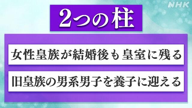 日本众议院全体会议10日以执政党等多数赞成，表决通过了《皇室典范》等的修正案