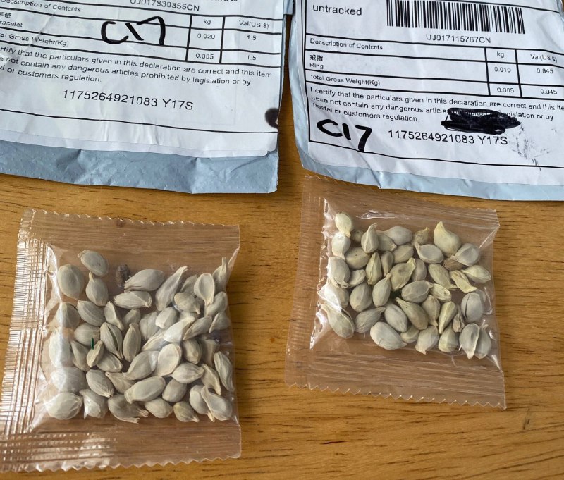 来自中国的神秘种子包裹扩散至美国至少27州