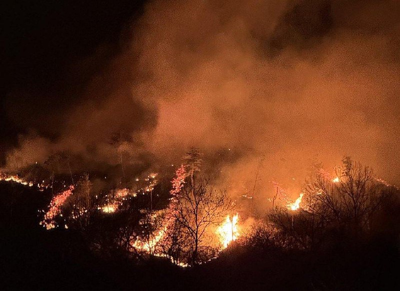 韩国多地3月22日接连发生大规模山火，造成4名灭火人员死亡，6人受伤，700多人紧急避险