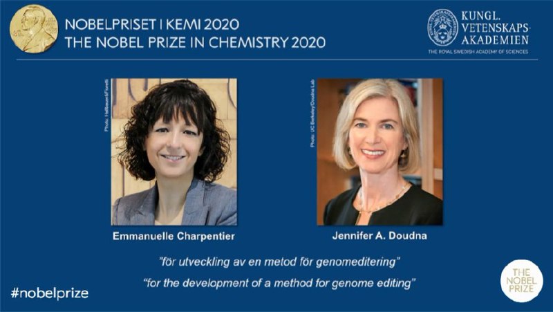 2020年诺贝尔化学奖由德国科学家埃玛纽埃勒·沙尔庞捷（Emmanuelle Charpentier）和美国科学家珍妮弗·A·道德纳（Jennifer A. Doudna）获得，以表彰他们发现了基因编辑工具——CRISPR / Cas9基因剪刀