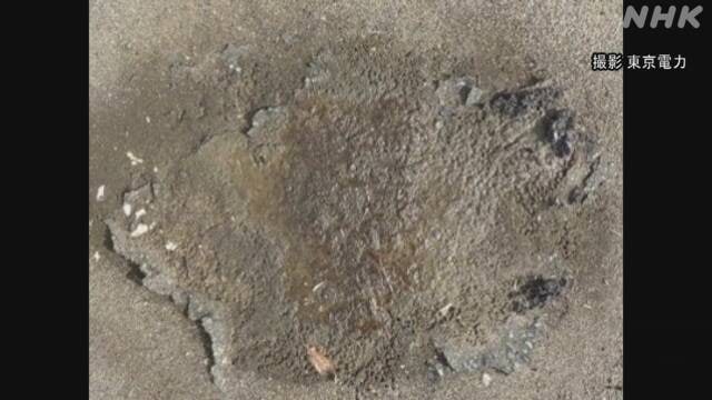 今年3月，在福岛第一核电站用于储存事故后的放射性废弃物的集装箱所在区域的地面上，发现了凝胶状物质，其辐射水平较高，达到每小时13毫西弗
